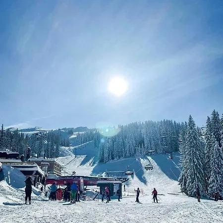 Villa Planinska Kuca Za Odmor Vukovic *